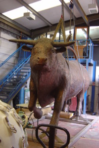 Behan bull hoisted front view - John Behan sculptor Artist Please call or email us for enquires regarding Johns work